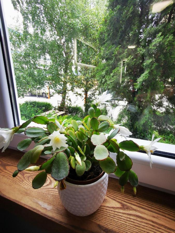 Apartament Przy Arsenale Wroclaw Bagian luar foto