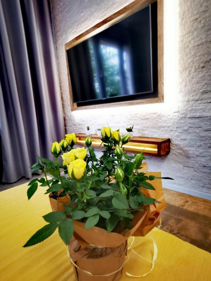 Apartament Przy Arsenale Wroclaw Bagian luar foto
